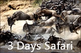 3 Days Safari to Masai Mara